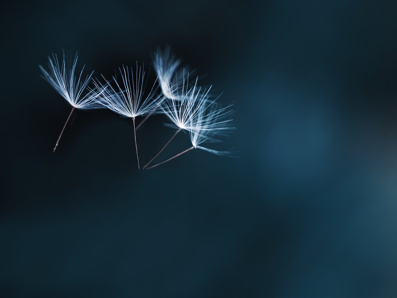 dance фото превью