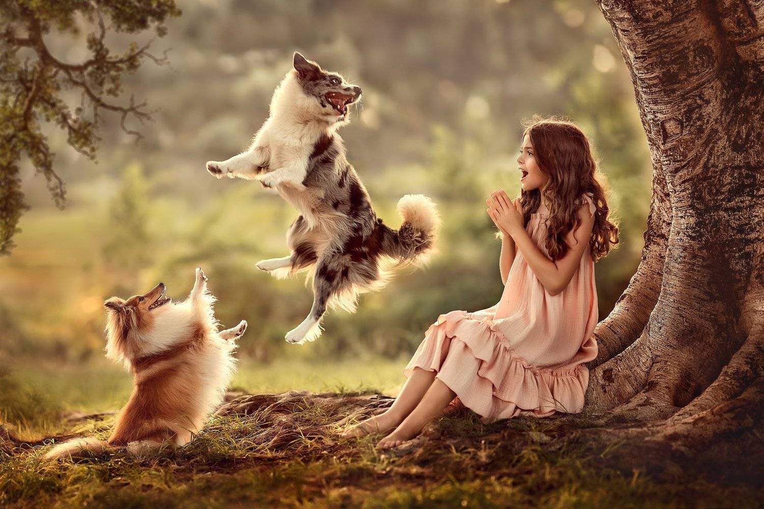 , Елена Михайлова