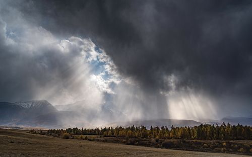 Солнечный дождь