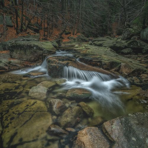 Life is a River Flowing... II