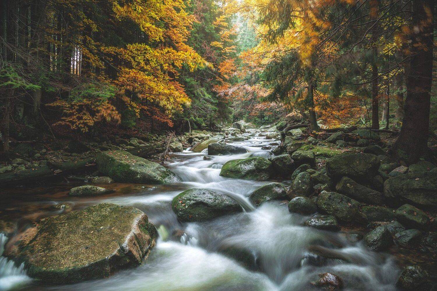landscape,canon,mist,light,autumn,waterfall, Iza i Darek Mitręga