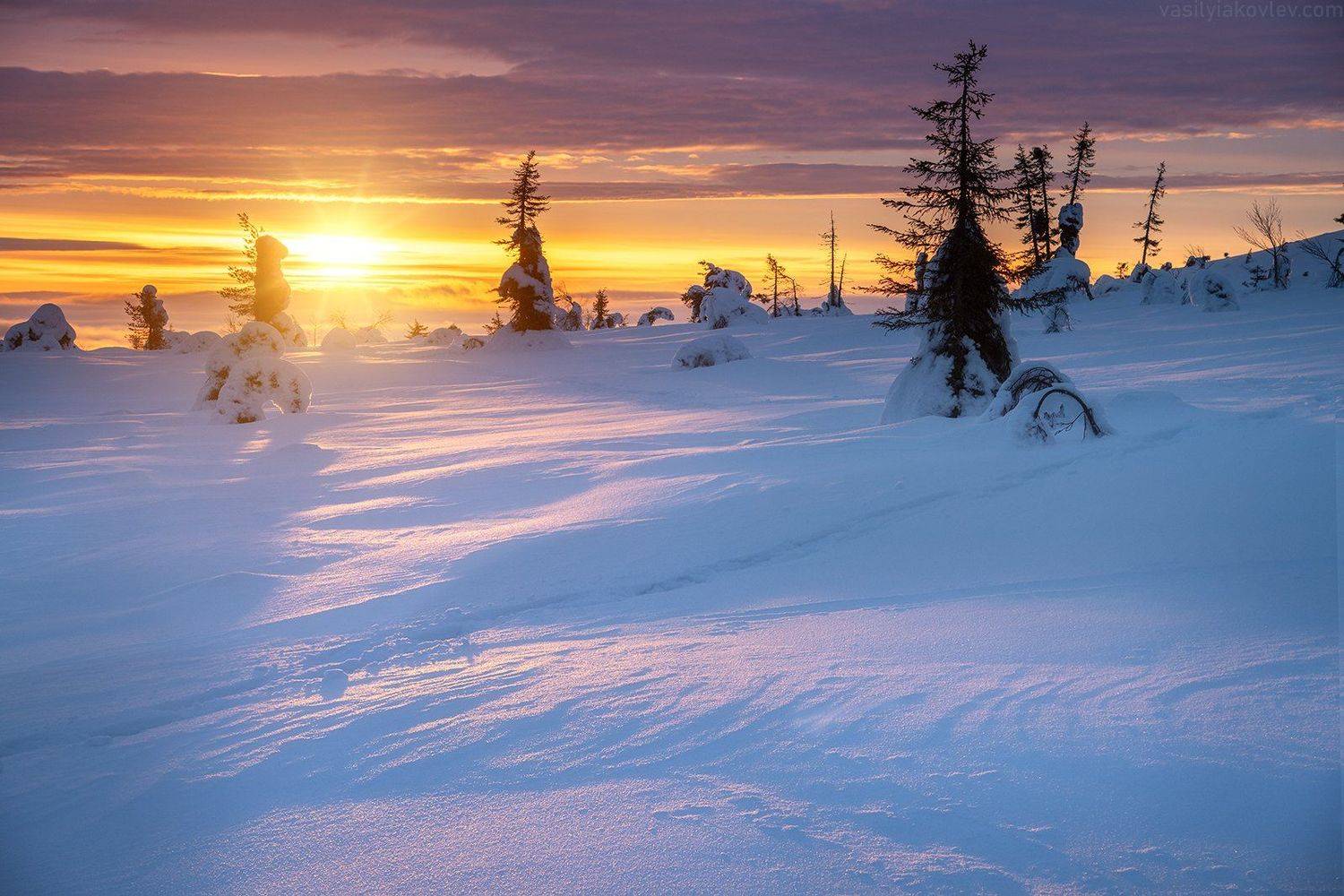 лапландия, финляндия, Василий Яковлев