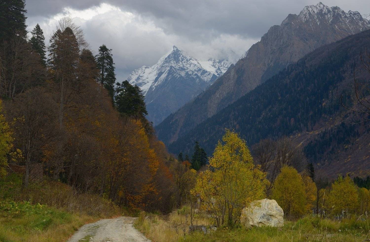 горы, кавказ, осень, лес, дорога, Александр Жарников