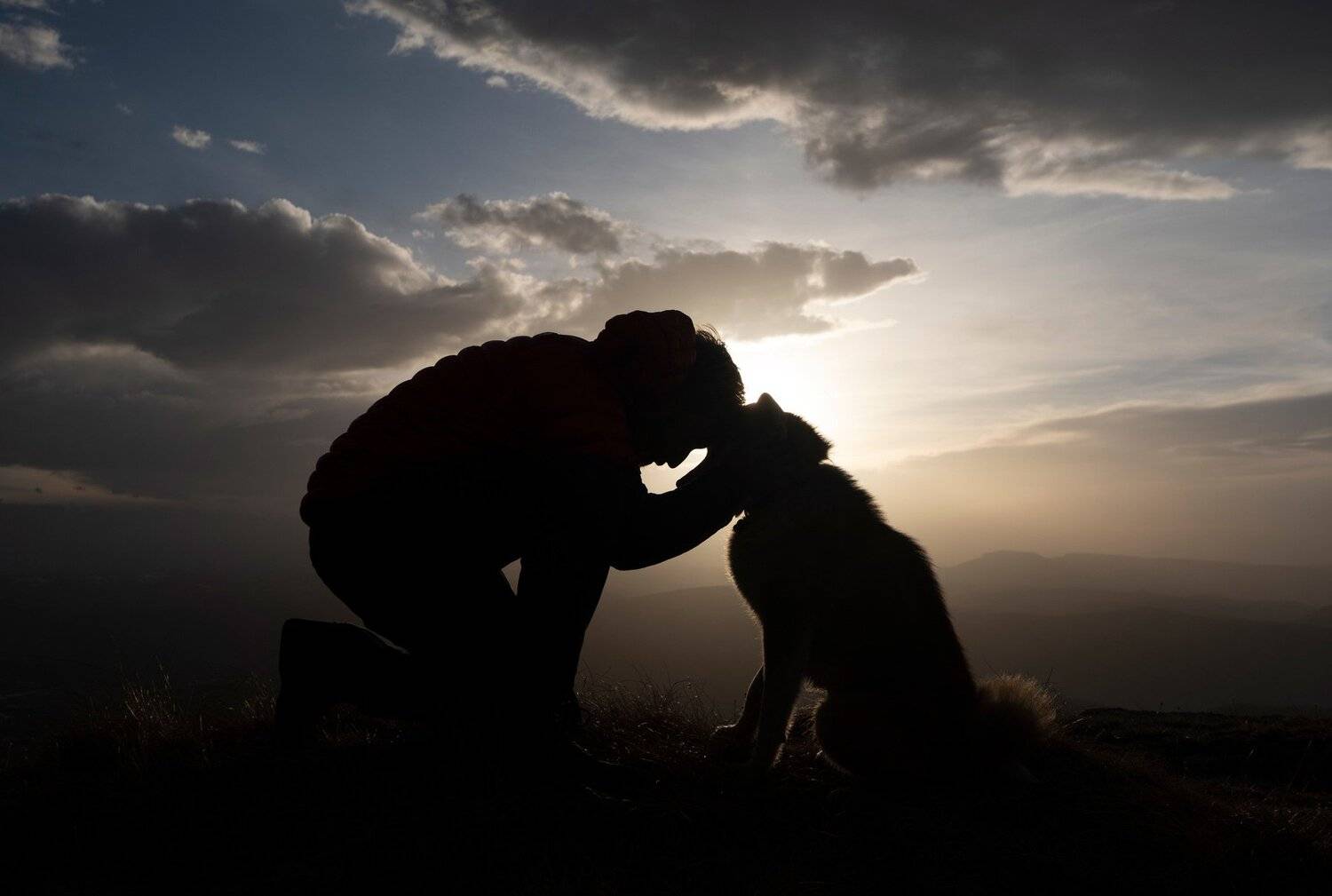 путешествие, любовь, верность, друзья, собака, закат, кавказ, горы, Матвей Кармаков