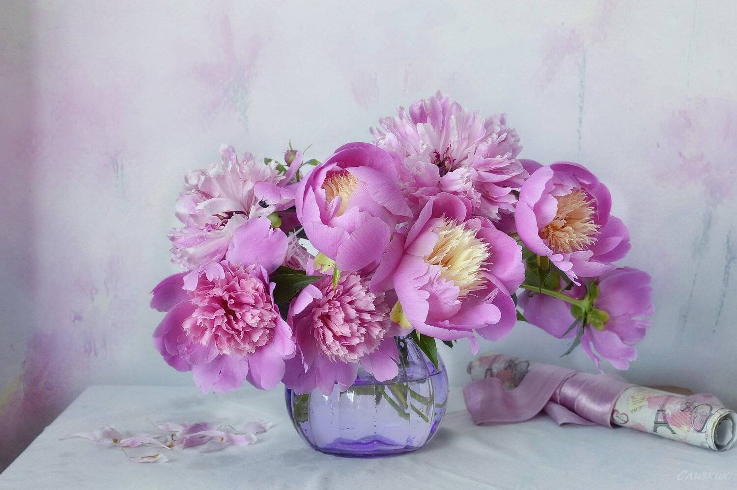 натюрморт,композиция,свет,лето,букет,пионы, Инаида