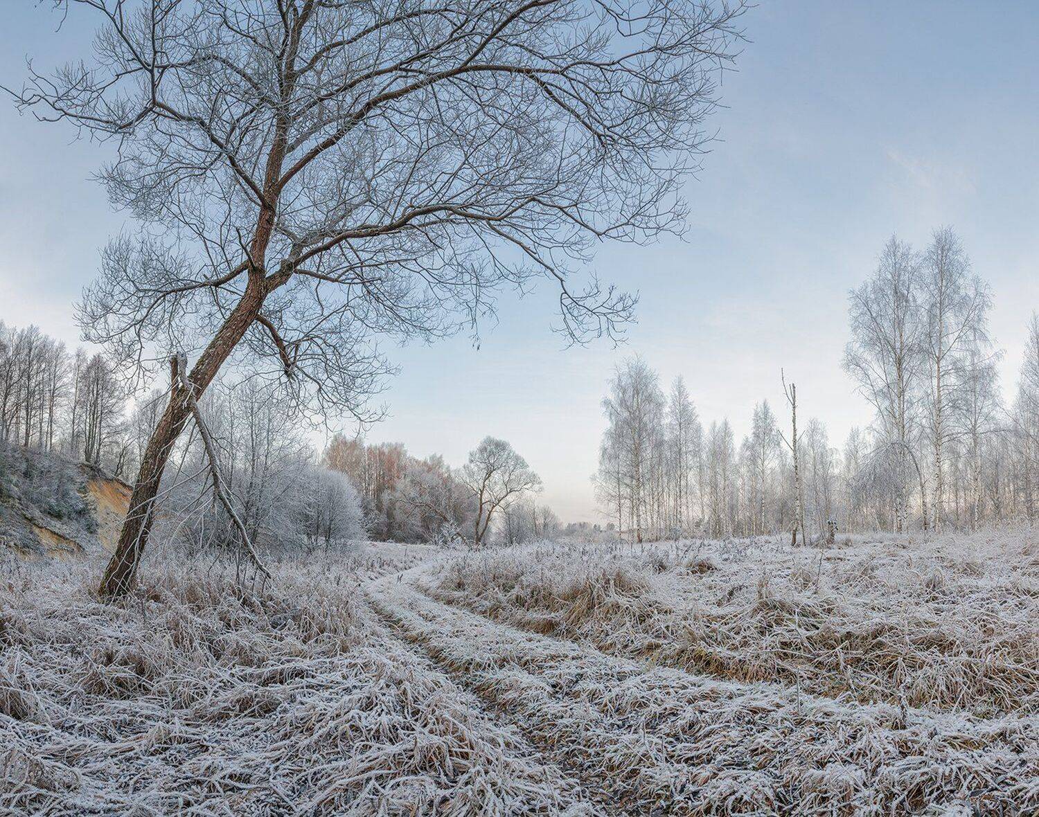 , Николай Андреев