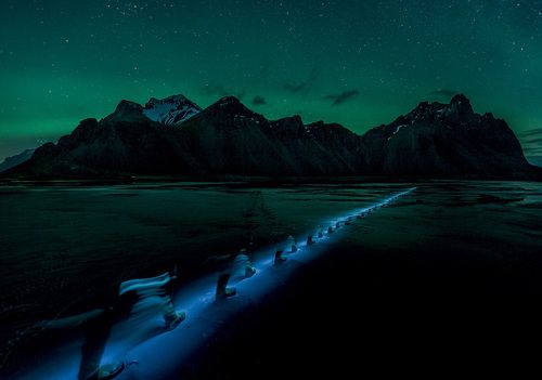 Исходили мои ноги все белые дороги.