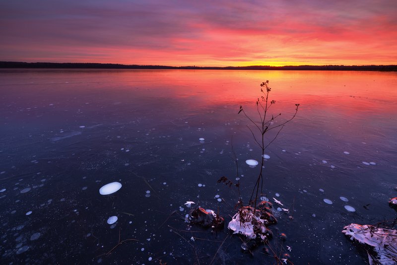 Вашутинские рассветы... фото превью