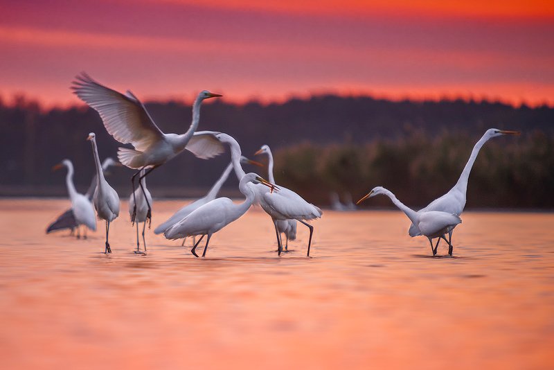 Before Sunrise фото превью