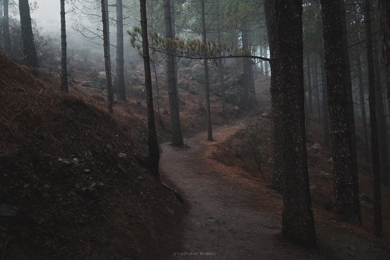 gran canaria roque nublo Roque Nublo фото превью