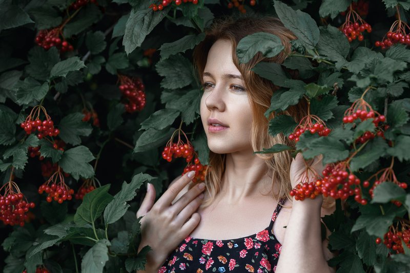 Red viburnum... фото превью