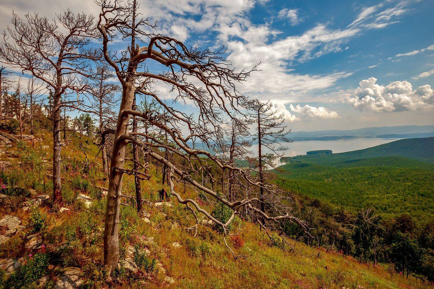 южный урал, тургояк,, Сергей Евдокимов