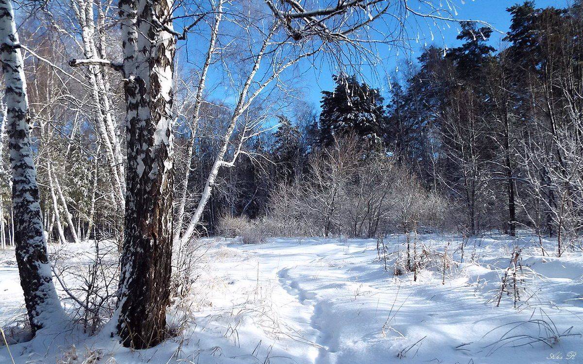 , Razgulyaev Aleksandr