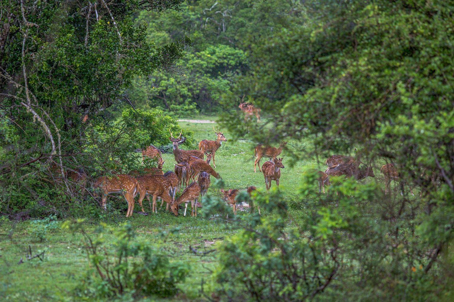 , Игорь Шитиков