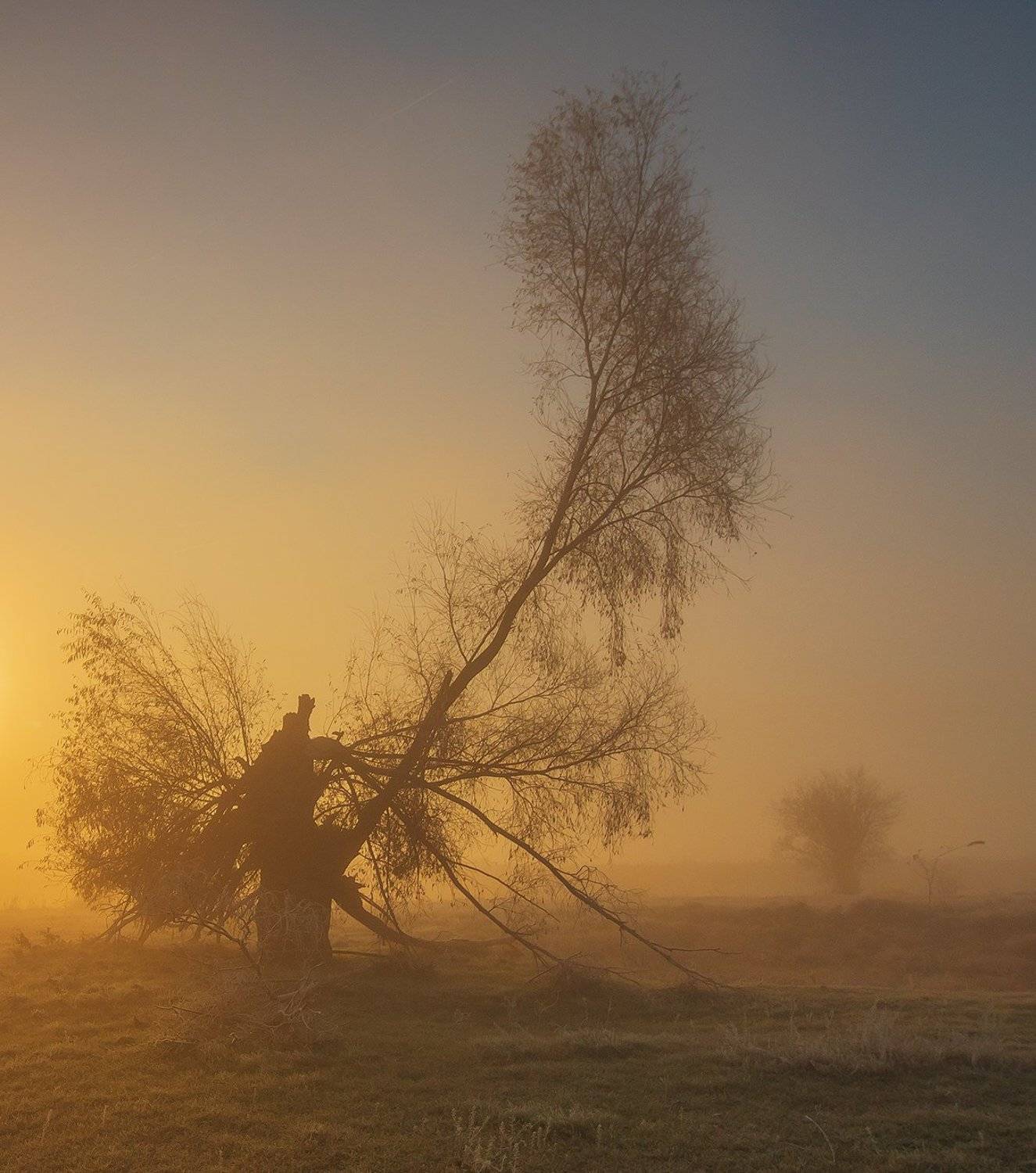 , Pawel Plucinski