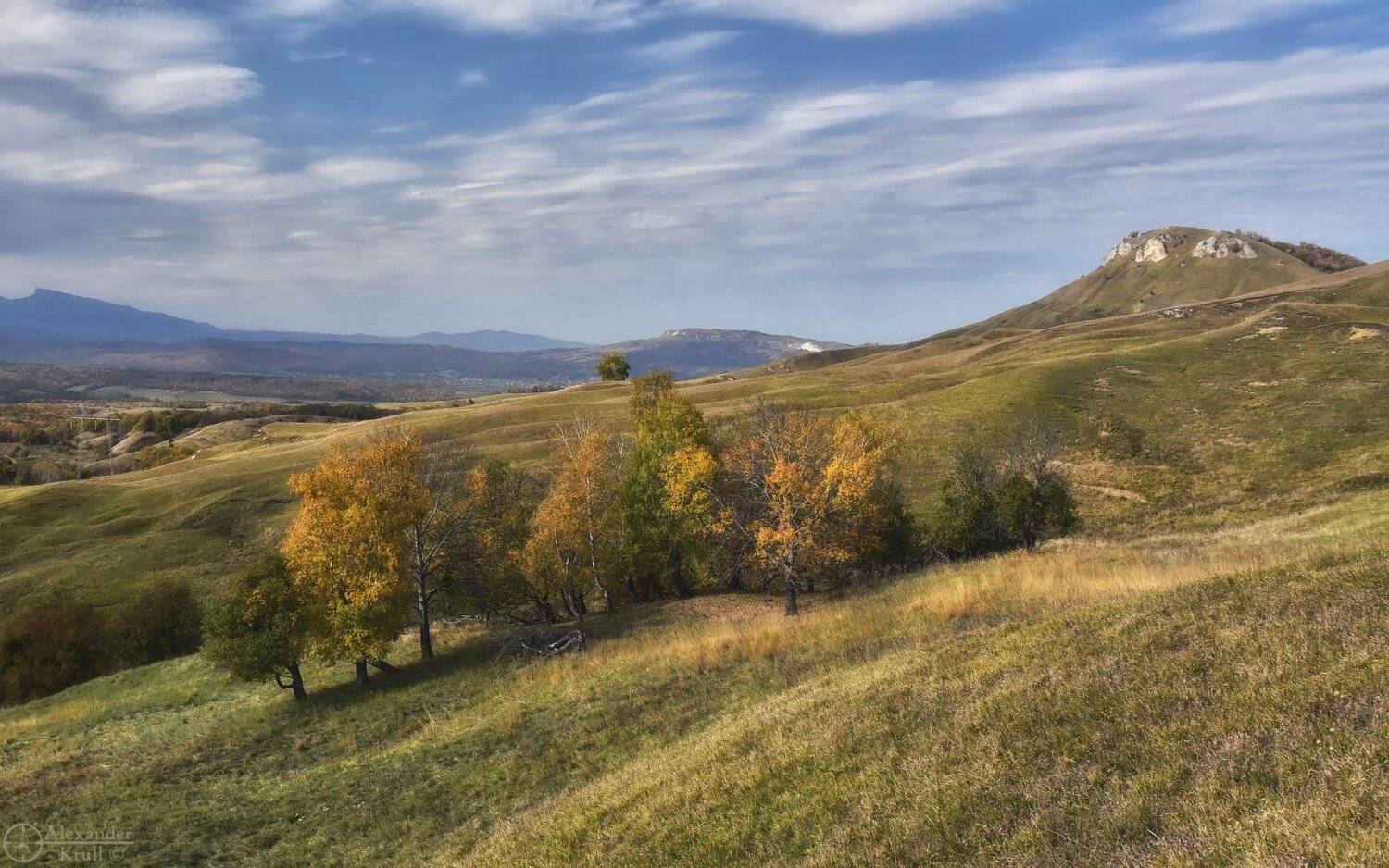 , Александр Круль