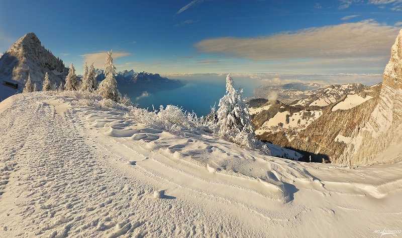 swiss,швейцария,зима,женевское озеро Зима фото превью