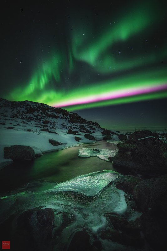 аврора, aurora, северное сияние Прожектор Пэрис Хилтон фото превью
