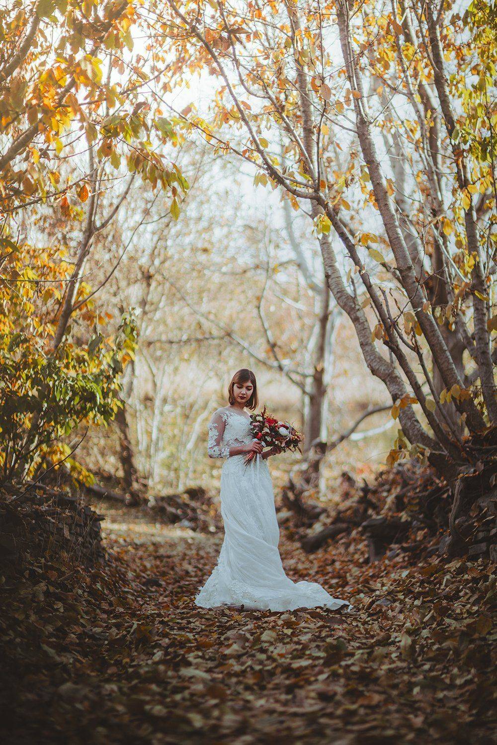 sony autumn, shahin khalaji
