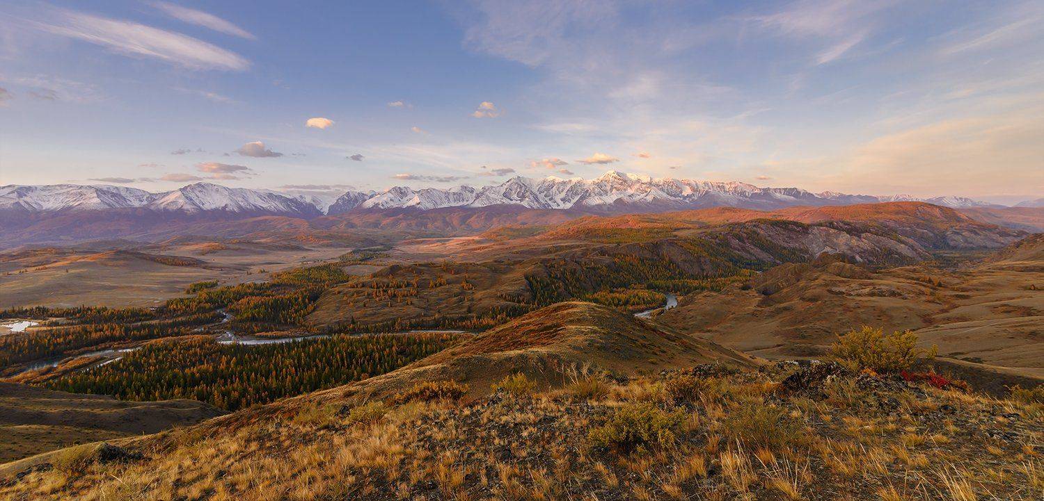 , Дмитрий Д.