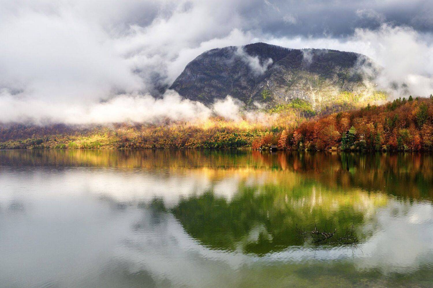 словения, озеро, туман, отражение, бохинь, Алексей Вымятнин