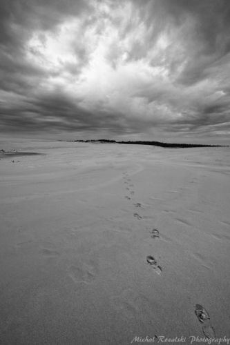 Footprints on the sand