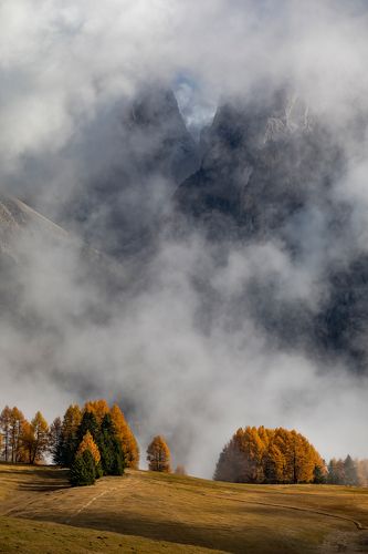 Just Autumn