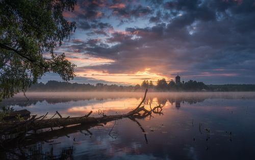 Утро в Введенском