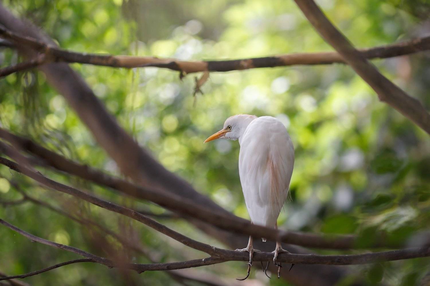 , Ирина Горюкина