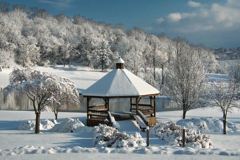 A Walk in the Park фото превью