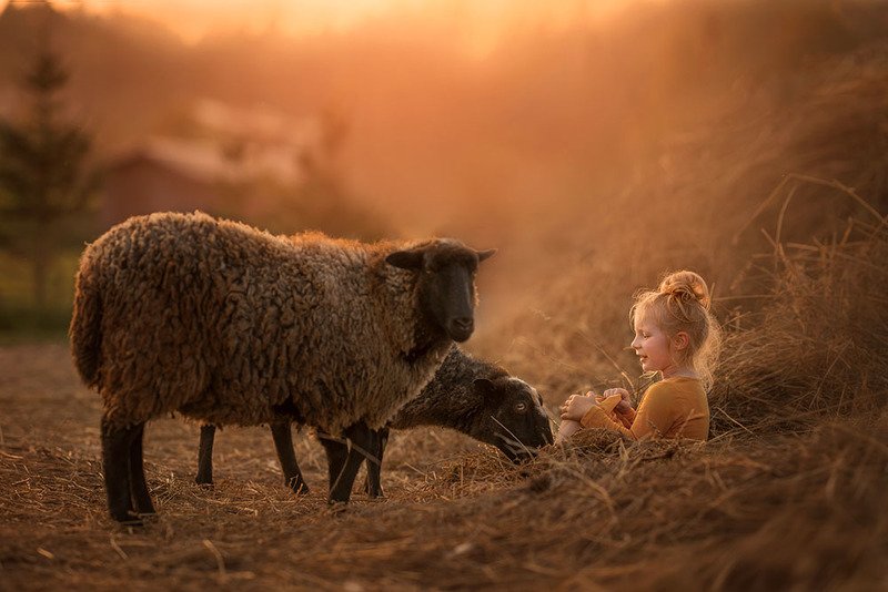 фото превью