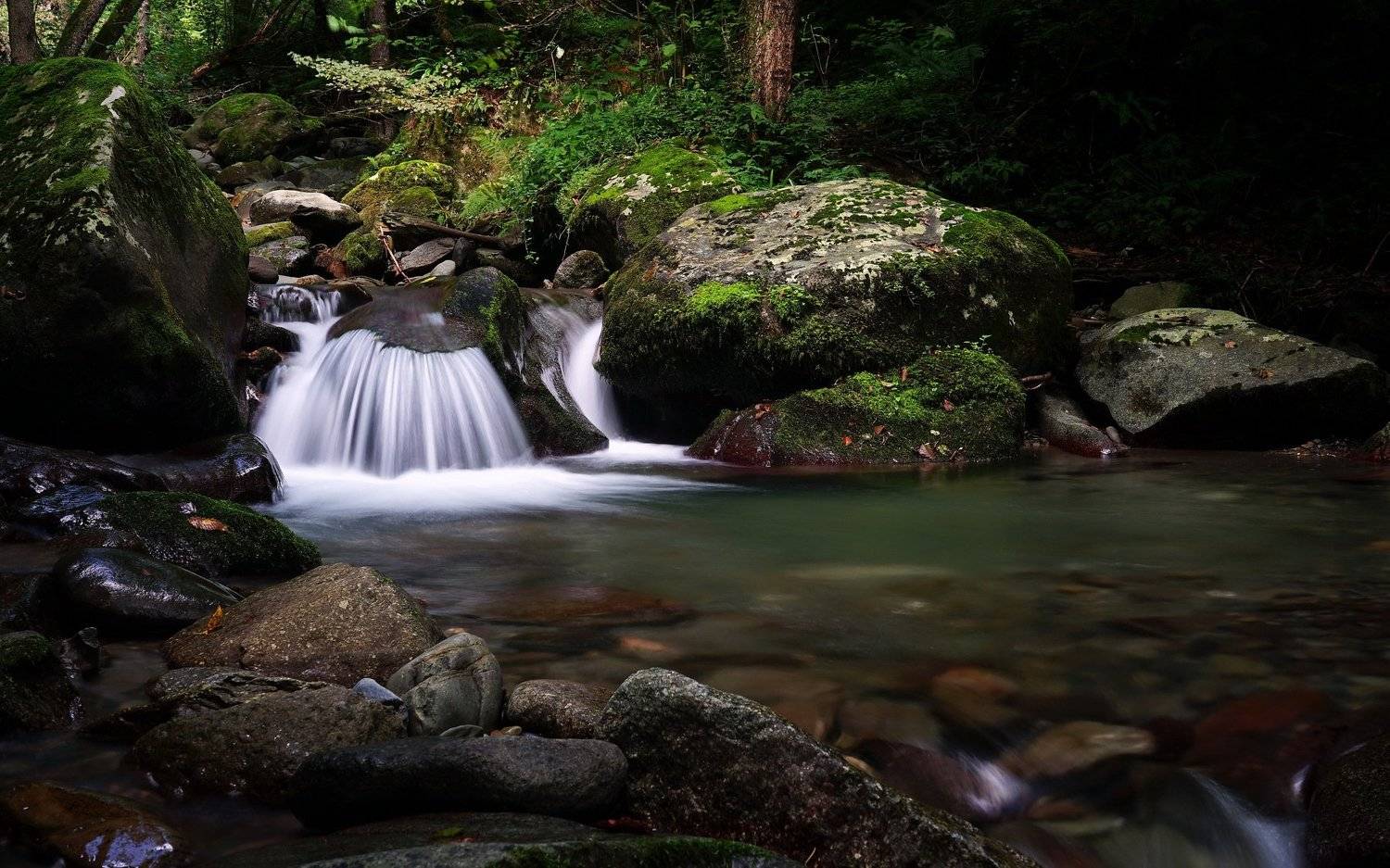 лето река перекат, Евгений Никишин