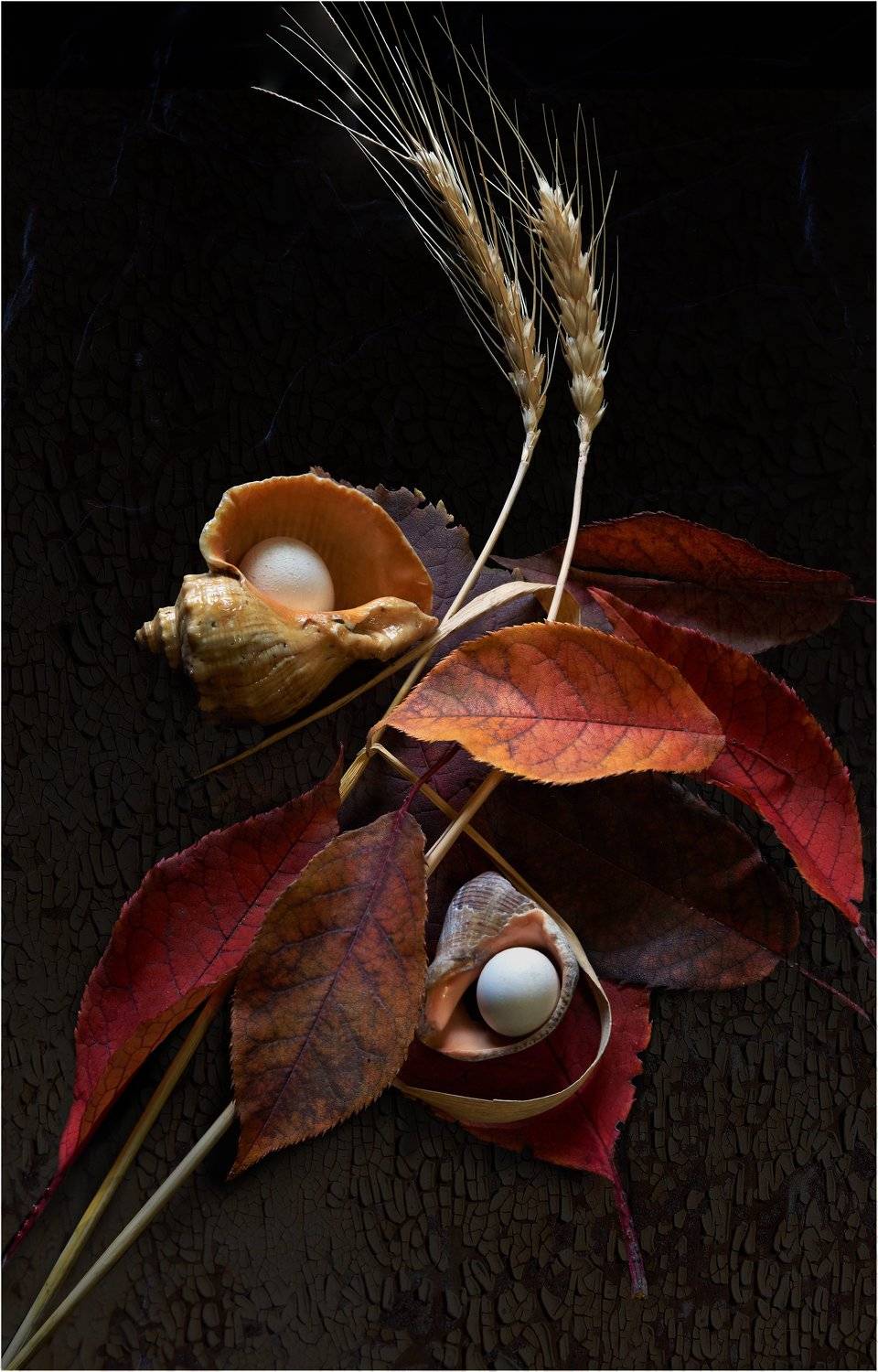 , Владимир Краснов