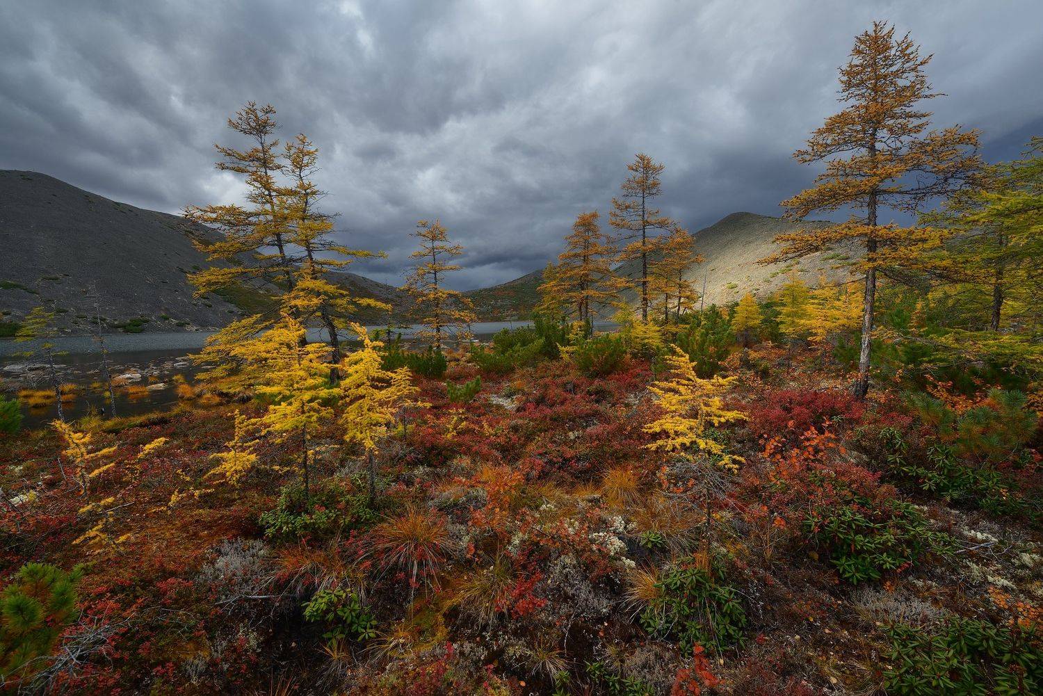 , Максим Евдокимов (phototourtravel.ru)