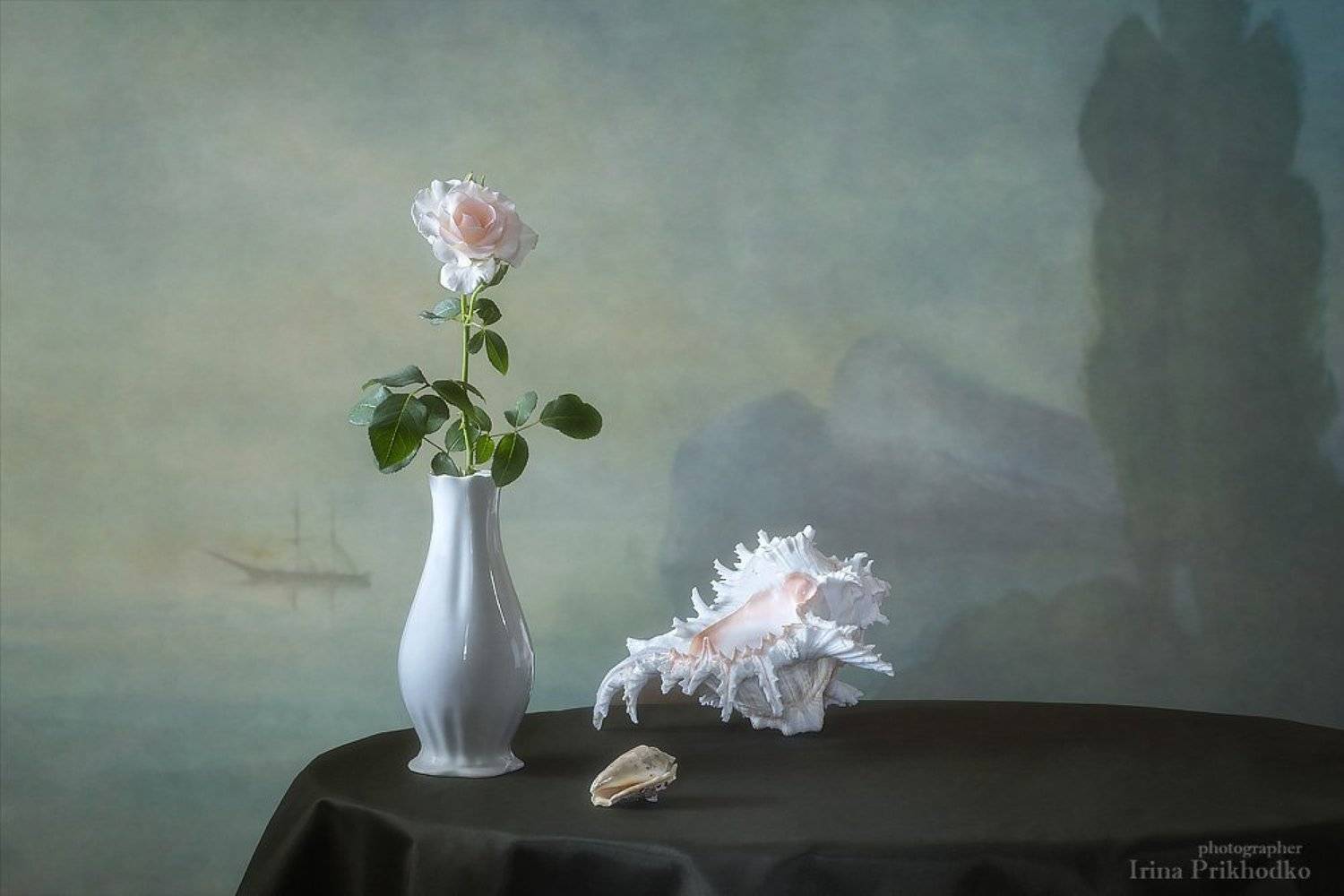 натюрморт, роза, раковины, морской пейзаж, Ирина Приходько