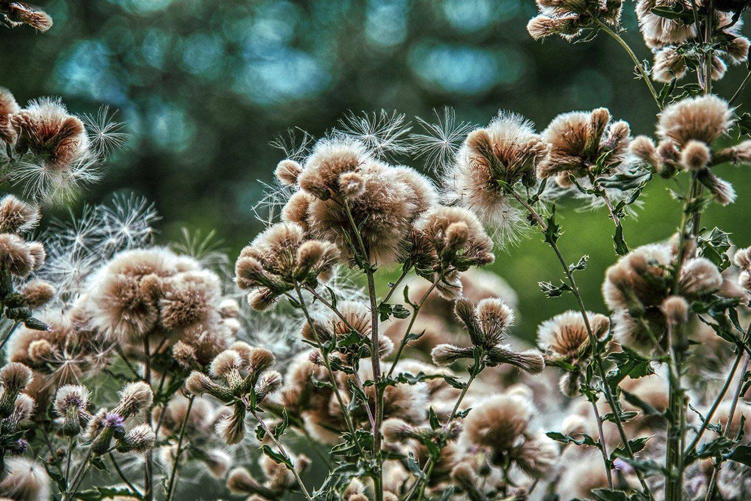 южный, урал, губерля орск, новотроицк, Качурин Алексей