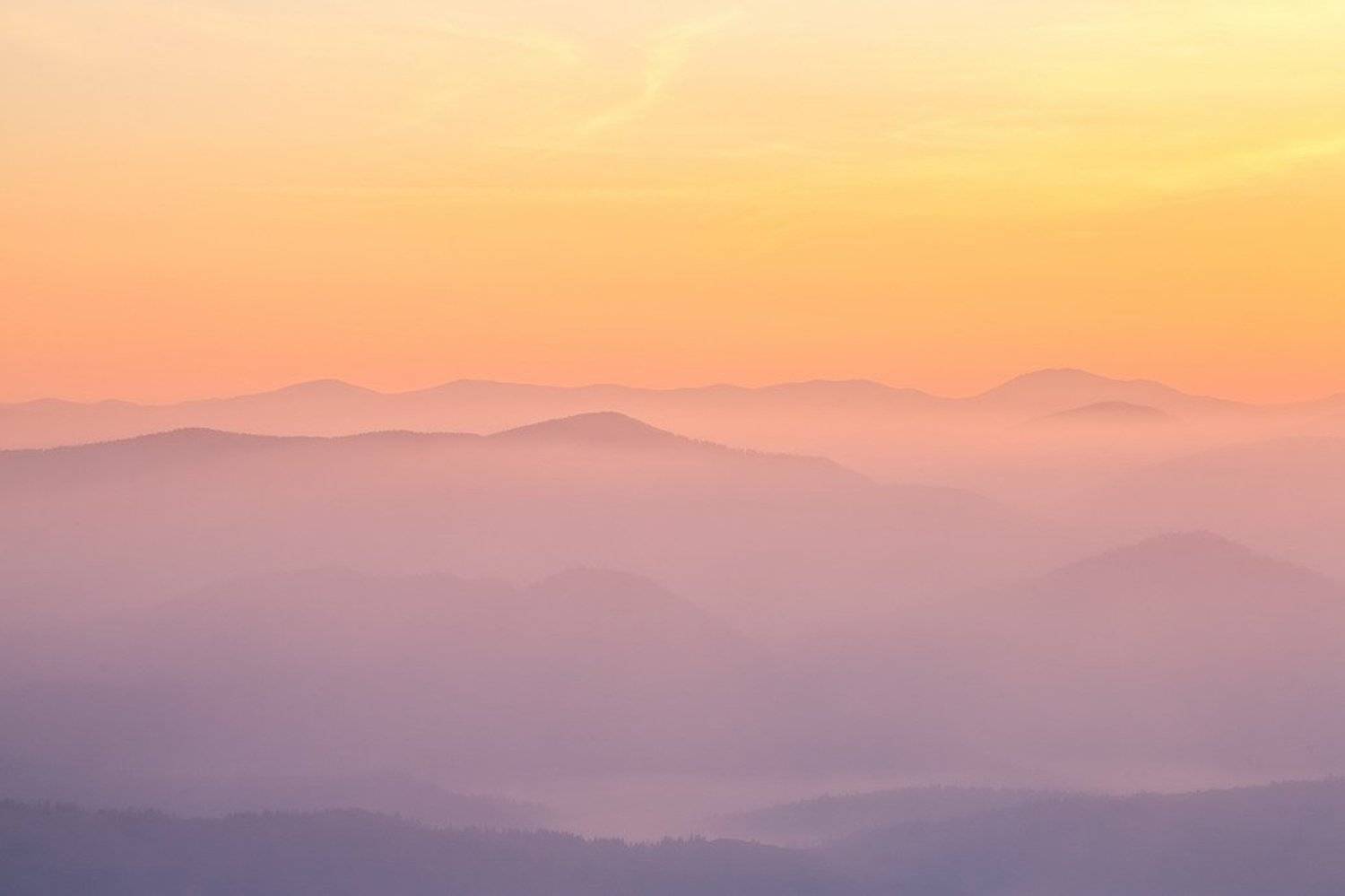 , Вячеслав Мищенко