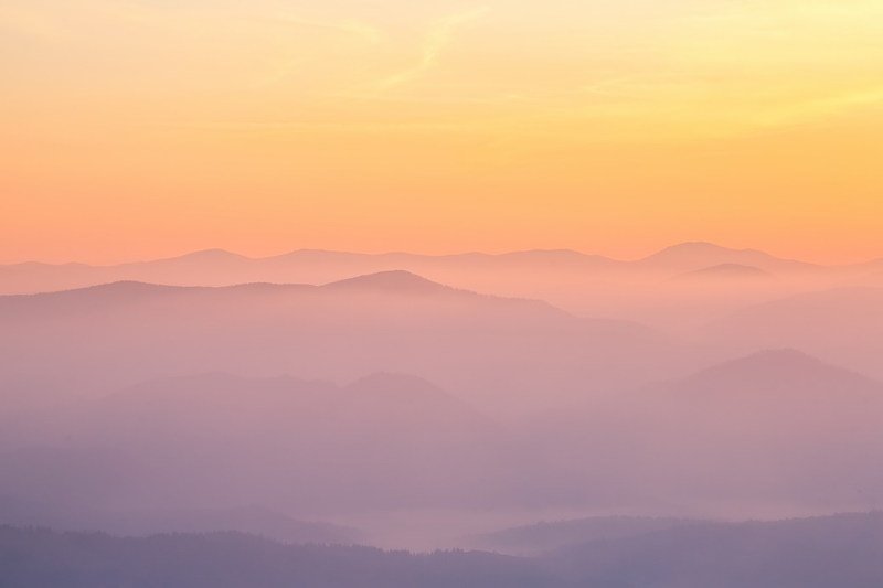 Боржава в пастельных тонах фото превью