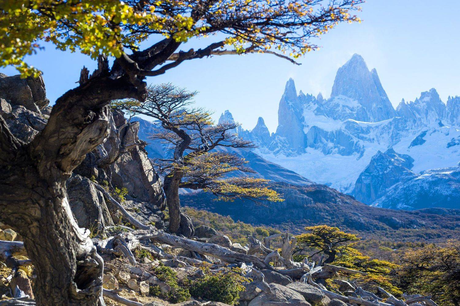 Аргентина, Патагония, Фицрой, Валерий Степанюк