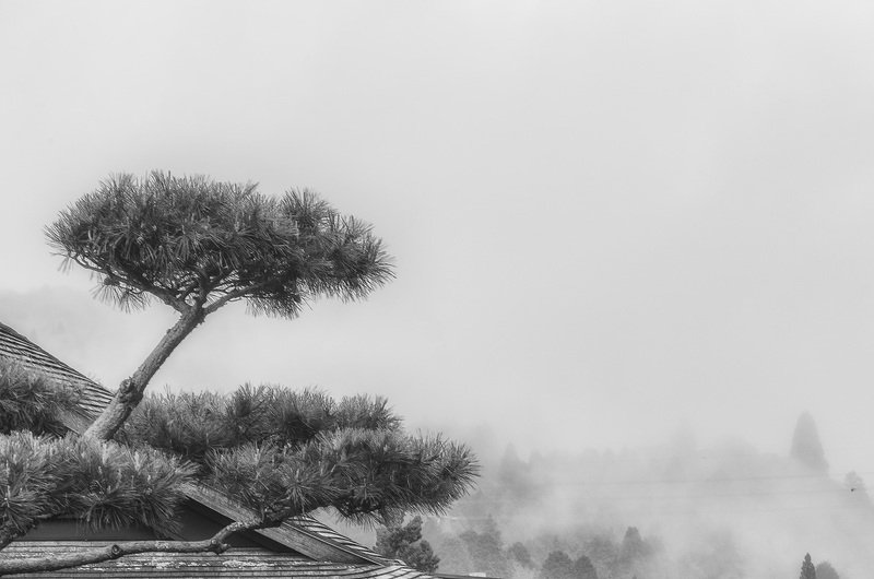 My black and white Hakone фото превью