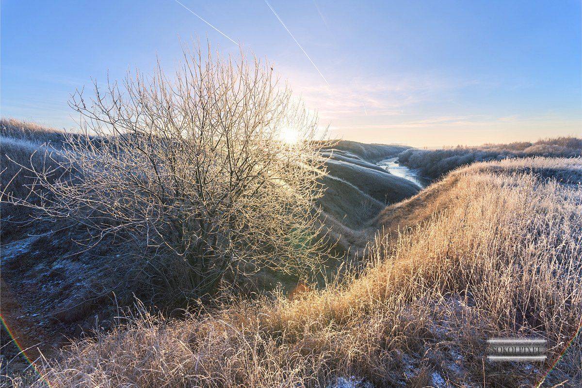 , Андрей Cоколов