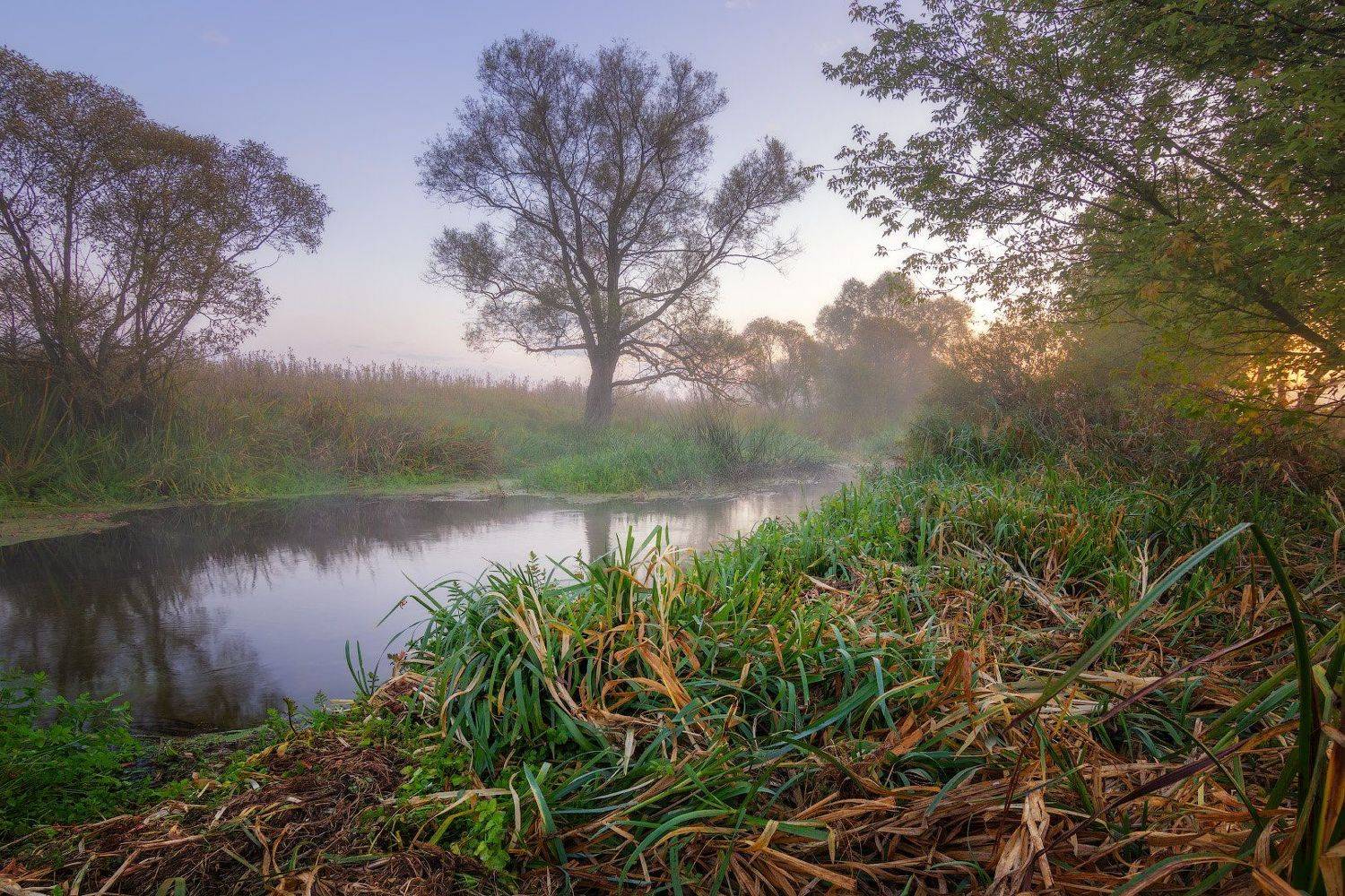 пейзаж, волчья, туман, река, утро, Виктор Тулбанов