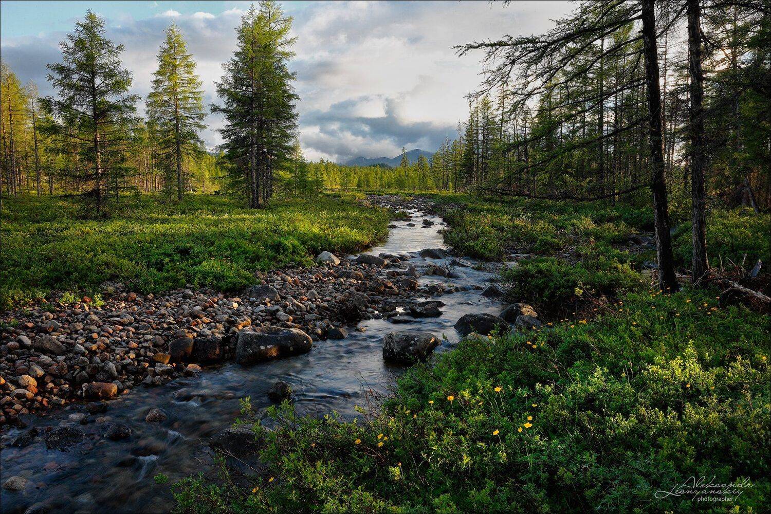 забайкальский край, Александр Леснянский