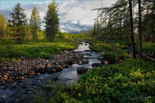 Забайкальский север
