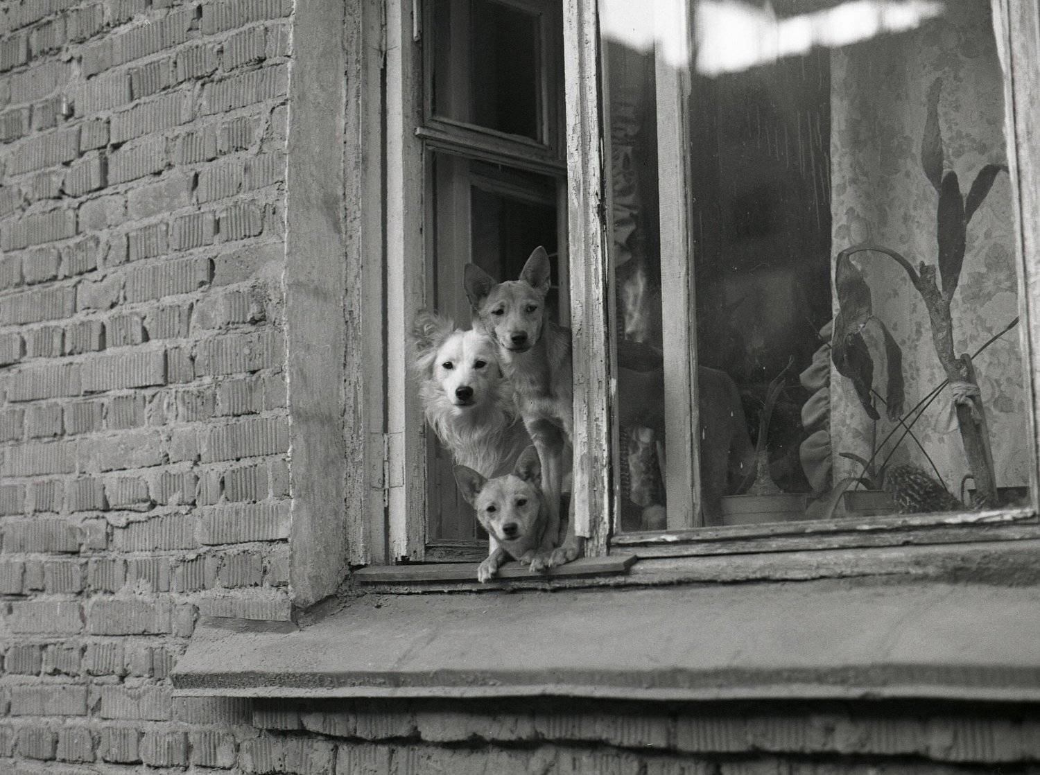 , Илья Глобин