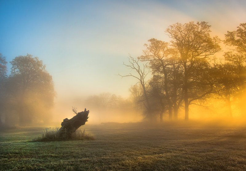 Światło poranka фото превью