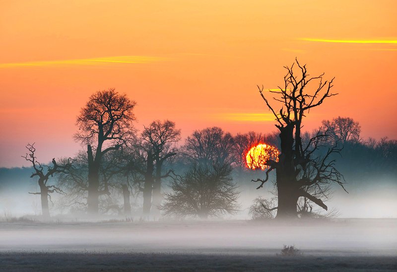 Dzień wstaje фото превью
