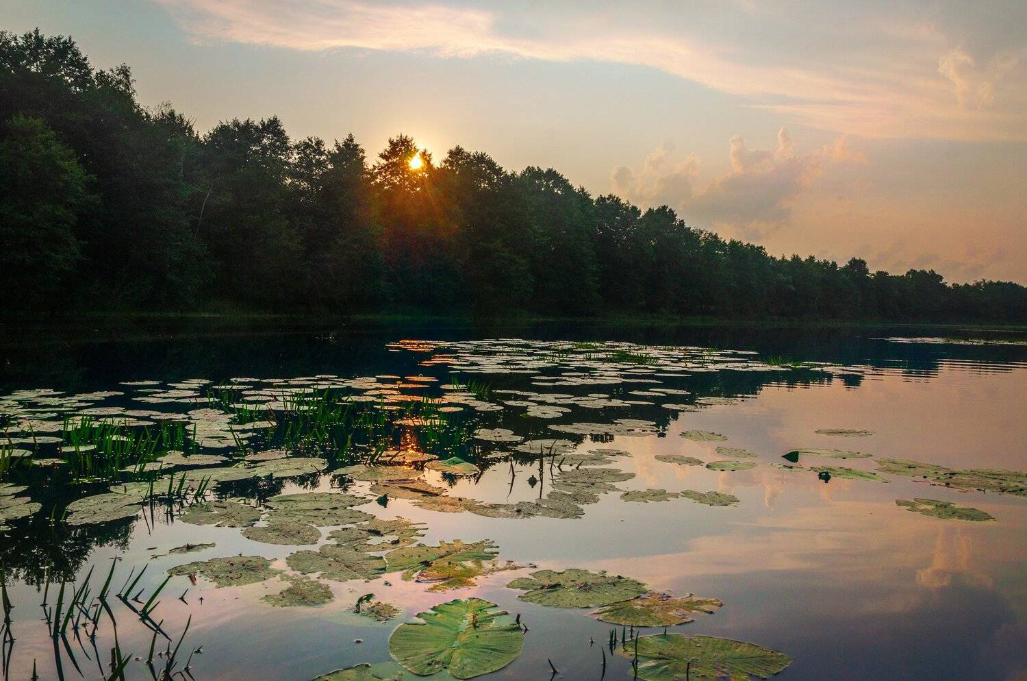 nevant60, пейзаж, красота, природа, Александр Березуцкий