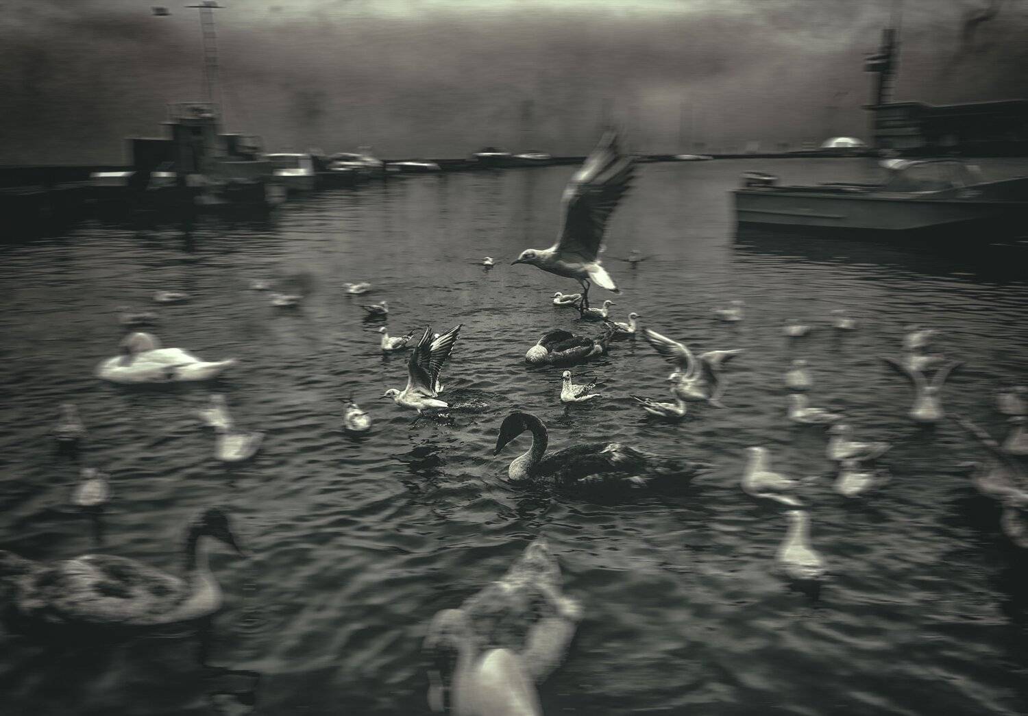 #iphone, #picsart, #snapseed, Artur Politov