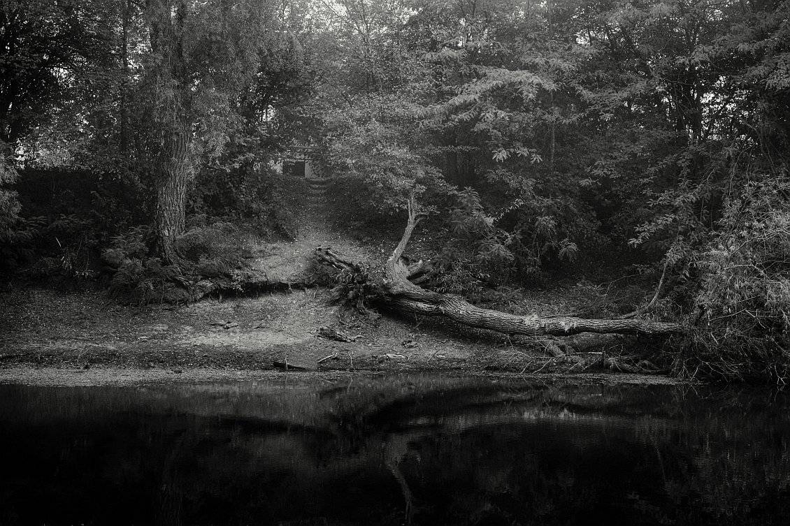 , Сергей Фудиненко